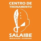 CT Academia Salaibe - logo