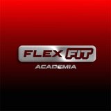 Flexfit Academia Ltda - logo