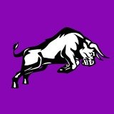 Bull Trainers Academia Ltda - logo