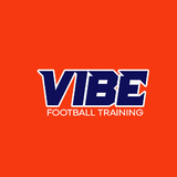 VIBE - ANIL - logo