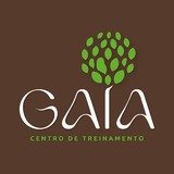 Ct Gaia - logo