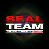 Seal team gym - logo
